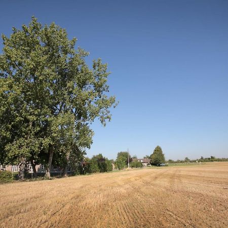 B&B Het Rooj Holsbeek Eksteriør billede